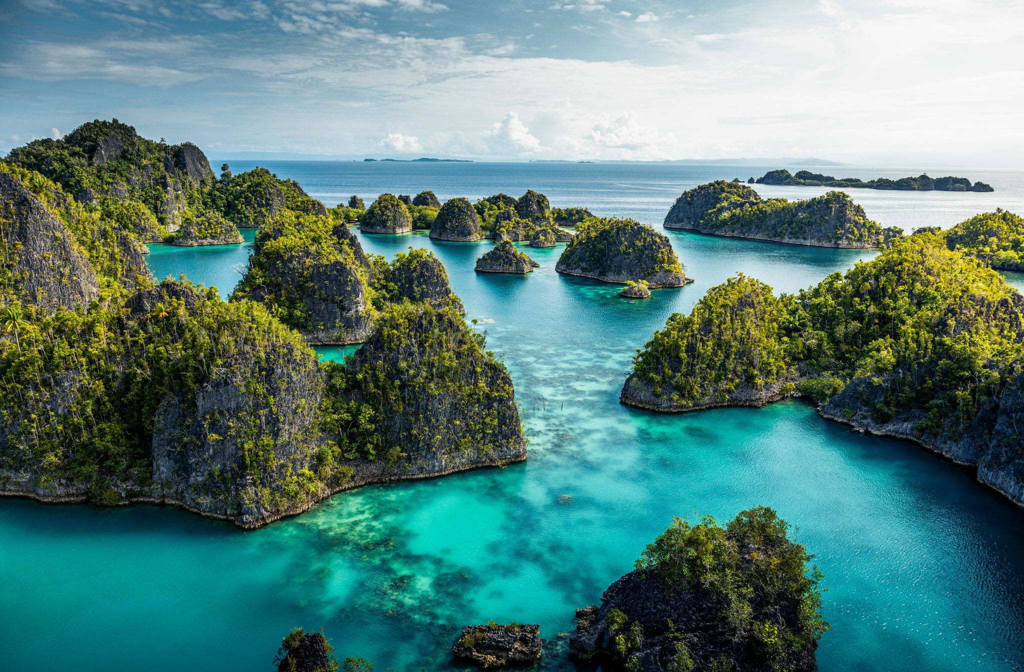 Maluku & Papua