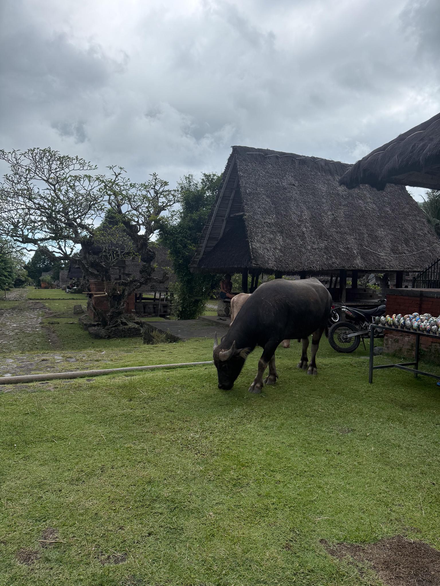 Desa Tenganan in Karangasem, Desa Sembiran in Buleleng