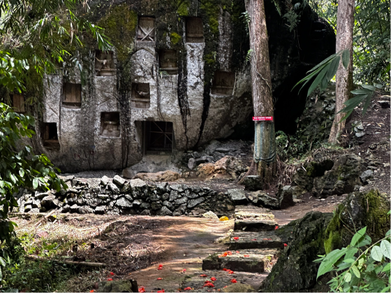 Tana Toraja